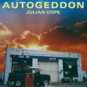Vinile Autogeddon (25th Anniversary Boxes) Julian Cope