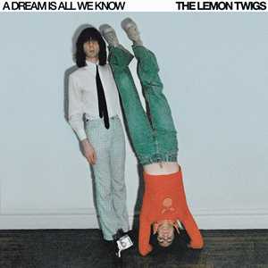 CD A Dream Is All We Know Lemon Twigs