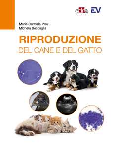 Libro Riproduzione del cane e del gatto Maria Carmela Pisu Michela Beccaglia