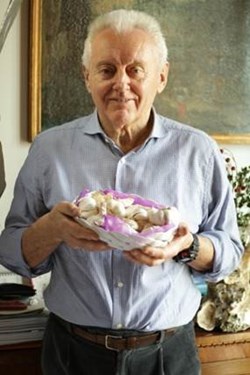 Paolo Galli