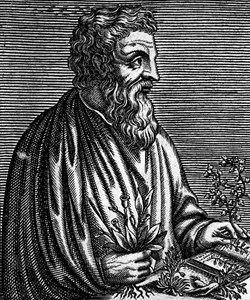 Foto di Dioscoride di Anazarbo