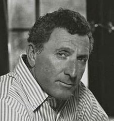 Libri di Irwin Shaw