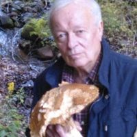 Foto di Guido Vigna