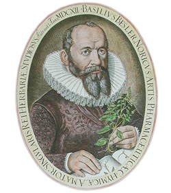 Foto di Basilius Besler