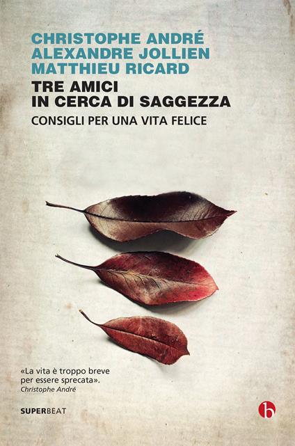 Tre amici in cerca di saggezza. Consigli per una vita felice - Christophe André,Alexandre Jollien,Matthieu Ricard - copertina