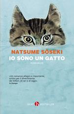 Io sono un gatto