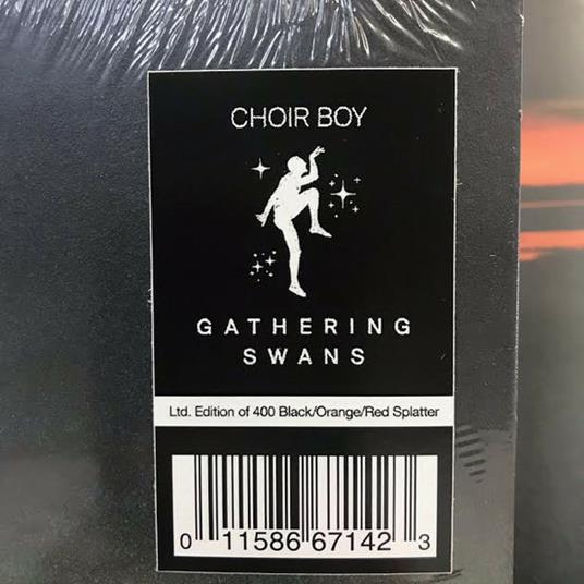 Gathering Swans - Vinile LP di Choir Boy