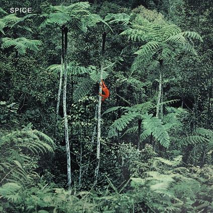 Spice (Opaque Grey Vinyl) - Vinile LP di Spice