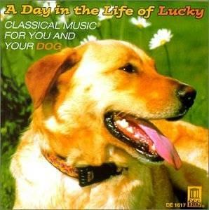 A Day In The Life Of Luck - CD Audio