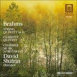 Quintetto per Archi n.2 Op.111, Quintetto per Clarinetto Op.115 - CD Audio di Johannes Brahms,David Shifrin