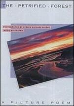 Deuter. The Petrified Forest. A Picture Poem (DVD)
