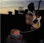 Ice Pickin' - CD Audio di Albert Collins