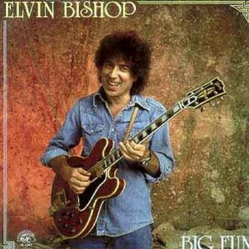 Big Fun - CD Audio di Elvin Bishop