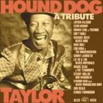 Tribute to Hound Dog Taylor - CD Audio di George Thorogood,Luther Allison,Dave Hole