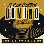 Cat Called Domino: Rare Cuts From Roy