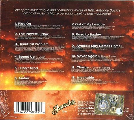 Powerful Now - CD Audio di Anthony David - 2