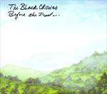 Before the Frost Until the Freeze - CD Audio di Black Crowes