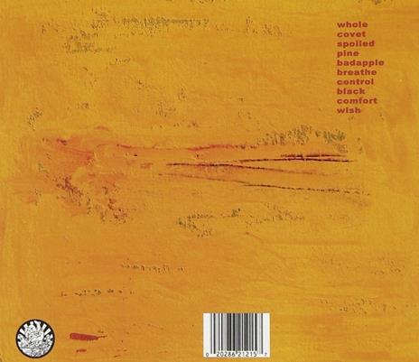 Colourmeinkindness - CD Audio di Basement - 2