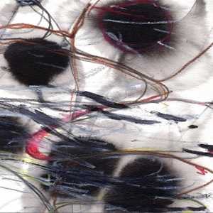 CD Cave Of Winds Tony Malaby