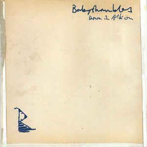 Down In Albion - CD Audio di Babyshambles