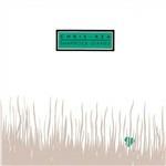 Shamrock Diaries