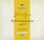 Sinfonia domestica