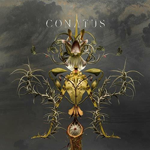 Conatus - Vinile LP di Joep Beving