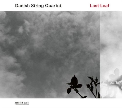 Last Leaf. Arrangiamenti di brani tradizionali del folklore nordico - Vinile LP di Danish String Quartet
