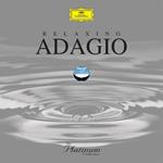 Relaxing Adagio. The Platinum Collection