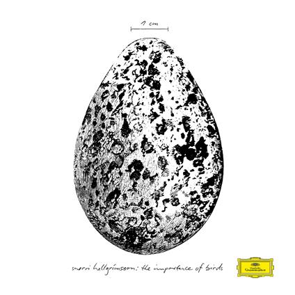 The Importance of Birds - Vinile LP di Snorri Hallgrimsson