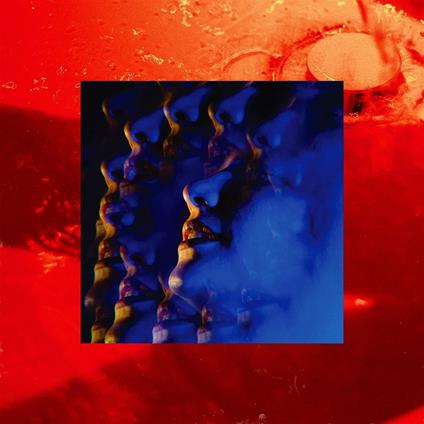 Leash - Vinile LP di Little Hag