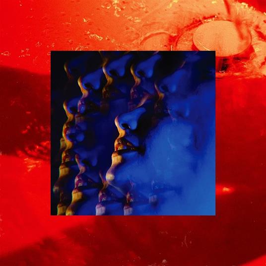 Leash - Vinile LP di Little Hag