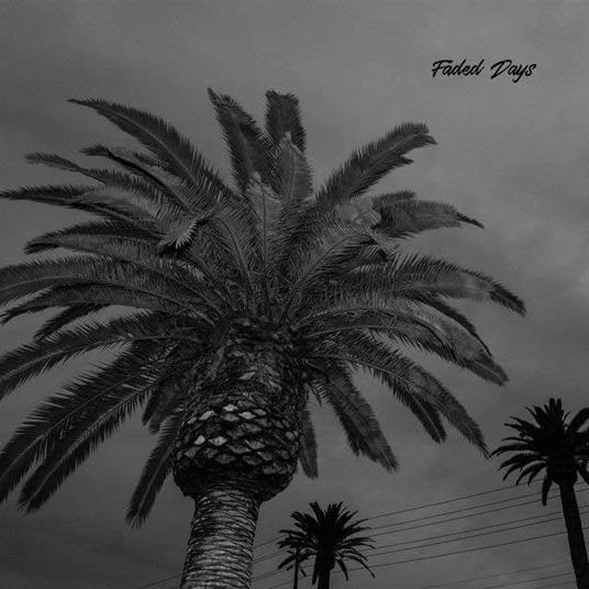 Faded Days - Vinile LP di Actual Wolf
