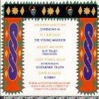 Sinfonie - CD Audio di Adolphus Hailstork