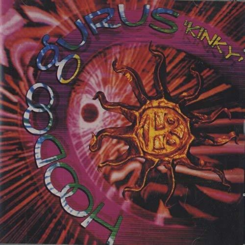 Kinky - CD Audio di Hoodoo Gurus