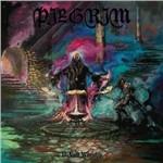 II. Void Worship - CD Audio di Pilgrim
