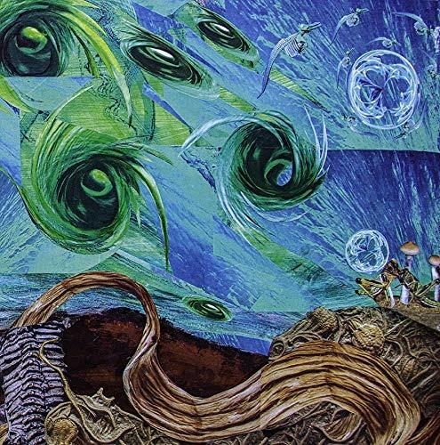 Fluid Existential Inversions (Limited Edition) - Vinile LP di Intronaut