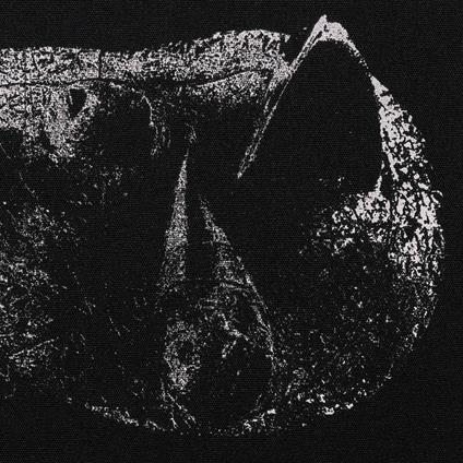 Viscera - CD Audio di Demon Head