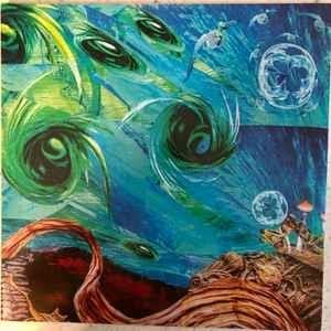 Fluid Existential Inversions - Vinile LP di Intronaut