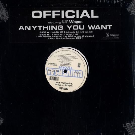 Anything You Want - Vinile LP di Official
