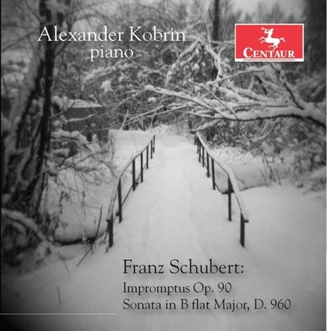 Franz Schubert - CD Audio di Franz Schubert,Alexander Kobrin