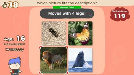 Nintendo Big Brain Academy: Brain vs. Brain Standard Tedesca, Inglese Nintendo Switch - 4