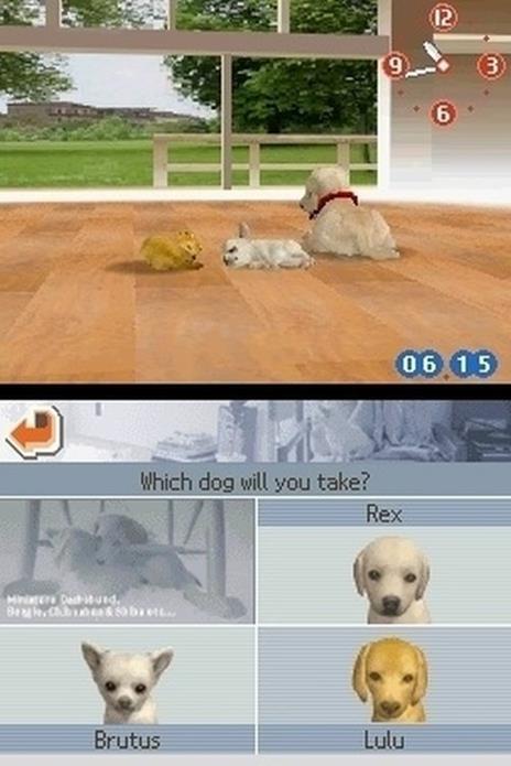 Nintendogs Labrador