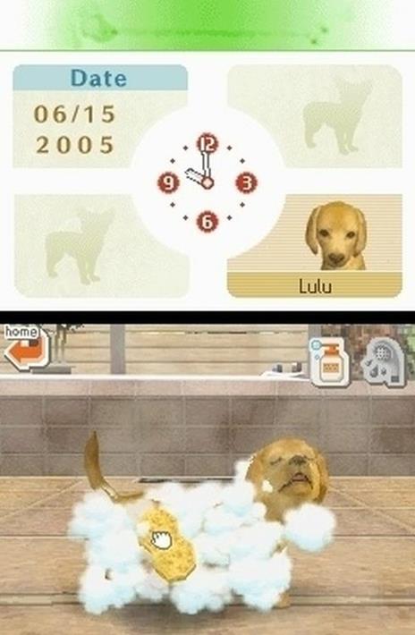Nintendogs Labrador - 3