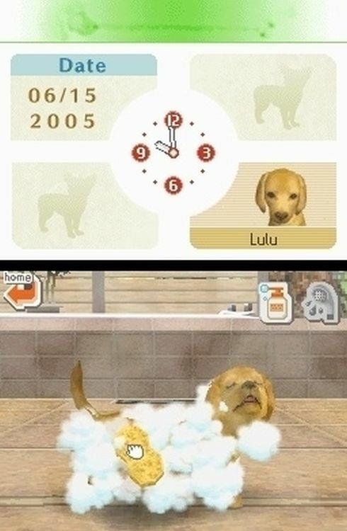 Nintendogs Labrador - 3