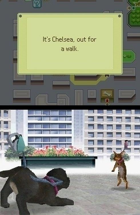 Nintendogs Labrador - 4