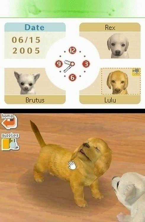 Nintendogs Labrador - 5