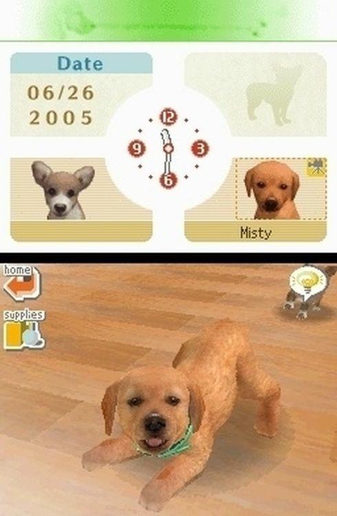 Nintendogs Labrador - 7