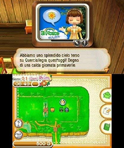 Story of Seasons - 9
