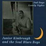 Sad Days Lonely Nights - Vinile LP di Junior Kimbrough